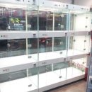 이편한도그 이미지