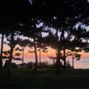 망양북로1 이미지