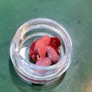 25번가 | 20240402 성수/서울숲 딘토 팝업스토어 다녀온 후기