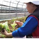 제이제이농장 이미지