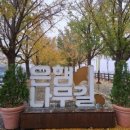 염치읍 은행나무길 이미지