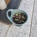 미림화원 | [~2025.09.04] 인생 - 산 넘어 산🏔