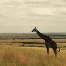 SLICE of LIFE 이미지