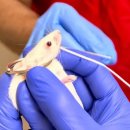 YK dental lab 이미지