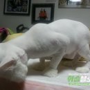 4u동물메디컬센타 이미지