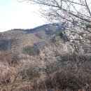 서니농장 이미지