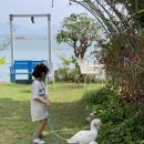 수성그린비 | 경남고성가족펜션 수성 그린비펜션