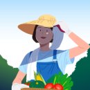 솔이문구 이미지