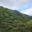 황골탐방지원센터 이미지