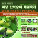 백암온천마을 영농조합법인