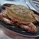 올레에반하다