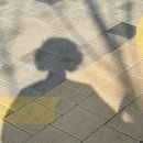 (주)맥스파마 이미지