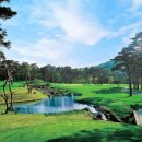 CC카써비스 이미지