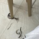 윤아치킨 | 아기 배냇머리 미용실에서 똑 단발 자르기 실패 후기