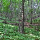 푸른농장B 이미지