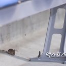 계양체육관 이미지