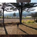 금계분교병설유치원 | [강원 홍천] 실내체육관이 멋진 속초초 좌운분교장