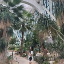 마곡실내배드민턴장 공중화장실 | 서울 비오는날 가볼만한 곳 실내데이트추천 마곡 서울식물원, 무료 전시회 입장료 주차정보 및 솔직후기