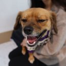 (주)두리 이미지