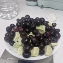 코로나 극복을 위한 건강 레시피 | [임신 준비] 간절한 마음을 담은 '삼신할매 스무디' 레시피 &amp; 솔직 시음 후기 (착근에 좋은 음식)