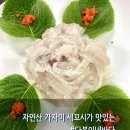 다복이네바다 네이버블로그