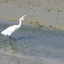 화성5리 이미지