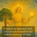 I believe in Spinoza's God - Albert Einstein 이미지