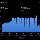 44기 A조 1,000m/200m X 10 이미지