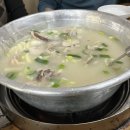 온닭한마리