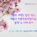 소나무를 품다 | [공주 여행] 해온이가 직접 찾은 힐링 명소! 계룡산 전통한옥체험마을 '솔향' &amp; 카페 투어