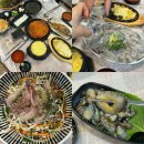 형제야채 | 김해 내외동 •형제도매횟집• 봄도다리 후기