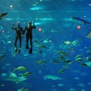 호텔앨리스앤트렁크 이미지