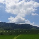 춤새마을 이미지