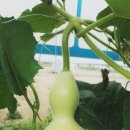 근원농장 이미지