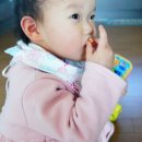 코끼리스넥