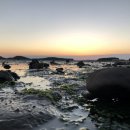 안산화신수산시장관리사무소 | 대부도여행 _1 [고래숲캠핑장, 대부도수산시장] / 생에 첫 캠핑 성공기💜