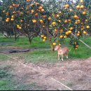 한밭농장 이미지