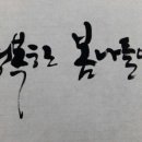 캘리그라피 이미지