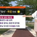 대서