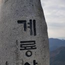 용산마을진입로 이미지