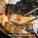 한돈암돼지