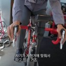 미모사사이클링