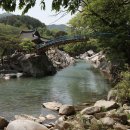 고향나들이 - 서산시 | 고향나들이