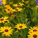 고요한 아침 이미지