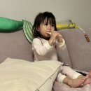 티코오락실 이미지