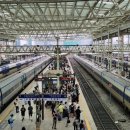 싱그러운청도로(여름) 이미지