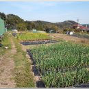 샘물농장 이미지