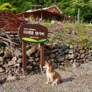 월곡초삼계분교 이미지