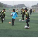 고읍축구장 이미지