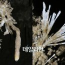 산호동510 이미지